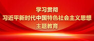 我要快点干我在线视频学习贯彻习近平新时代中国特色社会主义思想主题教育_fororder_ad-371X160(2)